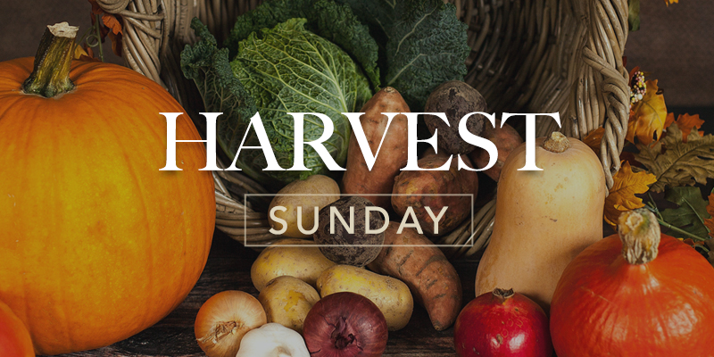 Harvest Feature Image